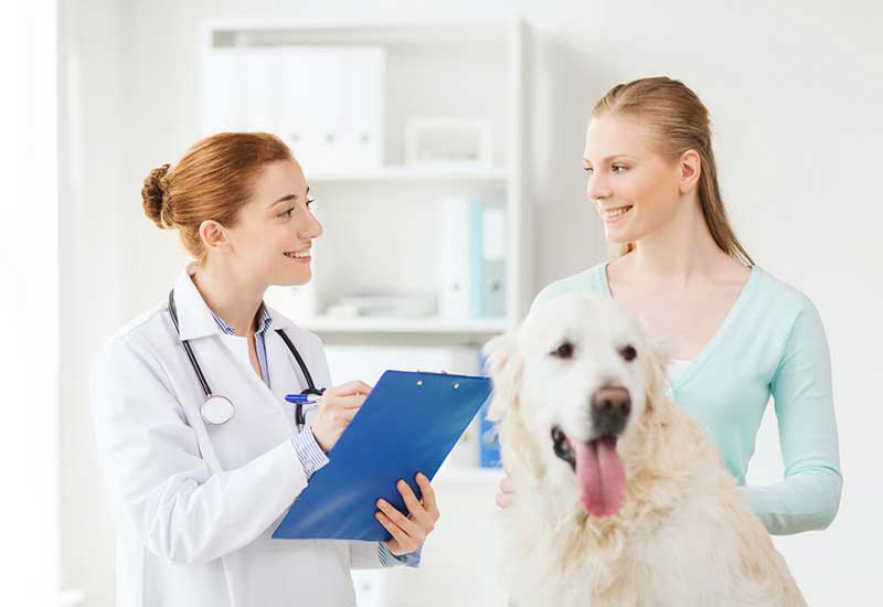 Best Veterinary Hospital in Whitefield