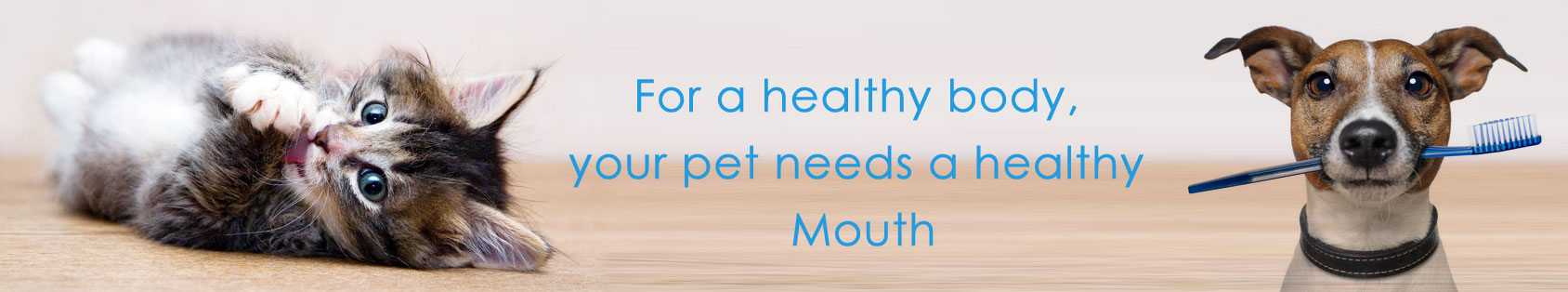 Best Pet Dental care